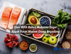 Cara Milih Bahan Makanan Seger, Kagak Pucet Macem Orang Begadang
