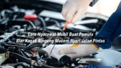 cara merawat mobil untuk pemula